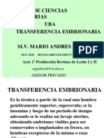 Transferencia de Embriones