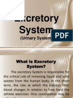 Pe Excretory System