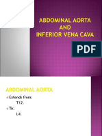 Abdominal Aorta and Ivc