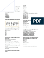 Soal Biologi