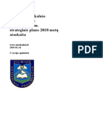 VAP 2018-2022 M. Strateginio Plano 2018 Metų Ataskaita