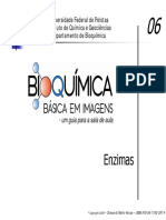 06-Enzimas-PDF