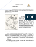 102744929-Biomecanica-de-La-Mano.pdf