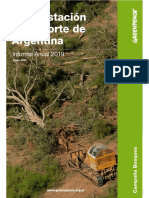 Deforestación en el norte de Argentina - Informe Anual 2019