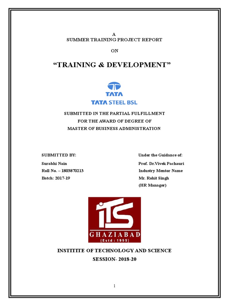TRAINING & DEVELOPMENT TATA STeel PDF Apprenticeship Journeyman