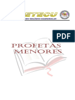 GUIA PROFETAS MENORES.docx