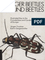 TRAUTNER-Illustrated_Key_Cicindelidae_and_Carabidae_Europe.pdf