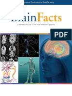 brain facts - a primer on the brain and nervous system (2012).pdf