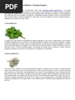 12 Ervas Ou Plantas Para Eliminar A Energia Negativa