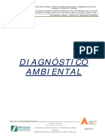 PMRL - CAP. VI - Diagnostico Ambiental Rev. 0