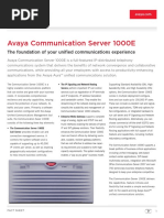 02 Avaya Communication Server 1000E Datasheet