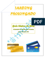 Guía Básica de Bins. Carding Prolongado-13 PDF