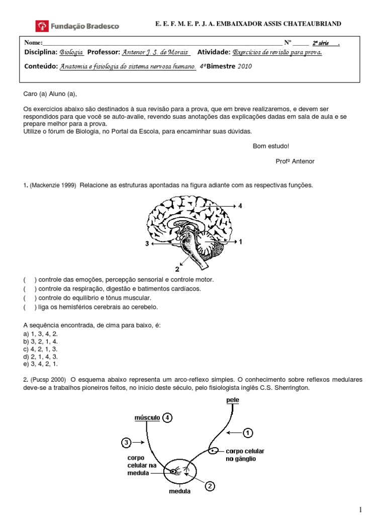 Sistema Nervoso Exercícios de Revisão para Prova | PDF | Neurônio ...