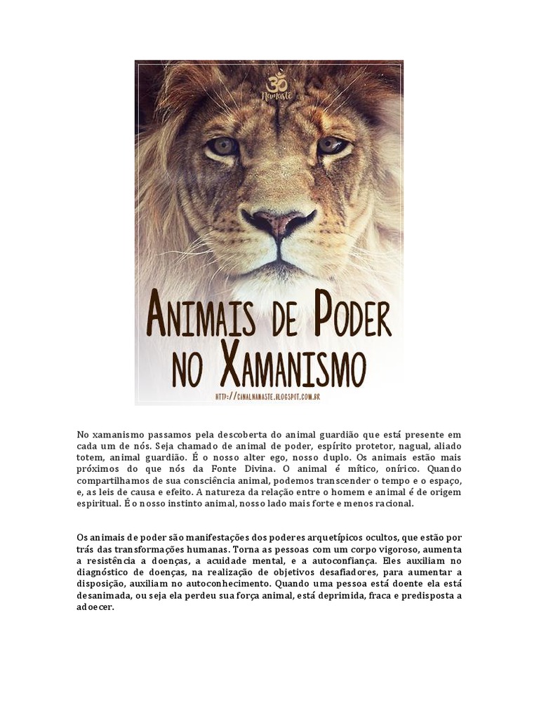 ANIMAIS DE PODER NO XAMANISMO | Sabedoria | Humano