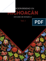 Michoacan v1 PDF
