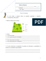 Teste Ciencias Naturais 7 Ano