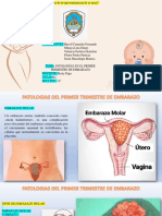 Patologías en El Primer Trimestre de Embarazo