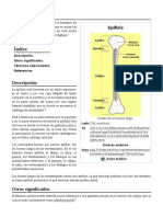 Epífisis PDF