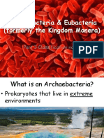 Archaebacteria Eubacteria