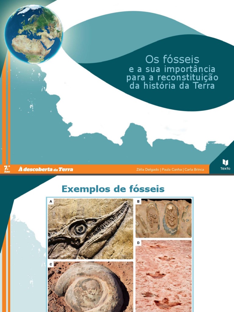 Os Fósseis e A Sua Importância para A Reconstituição Da História Da ...