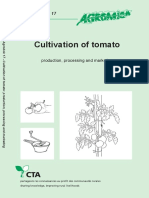 Cultivare Tomate nr 17