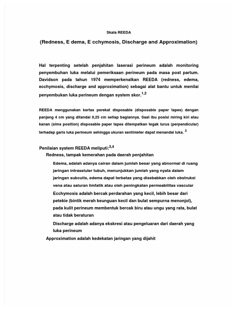 Reeda New | PDF