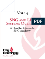 SNG and LPG Systems Overview.pdf