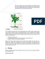 Pada Tumbuhan Tingkat Tinggi Organ Tumbu