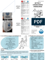 013-Actos y Condiciones Inseguras