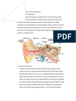 Anatomi dan fisiologi system pendengaran