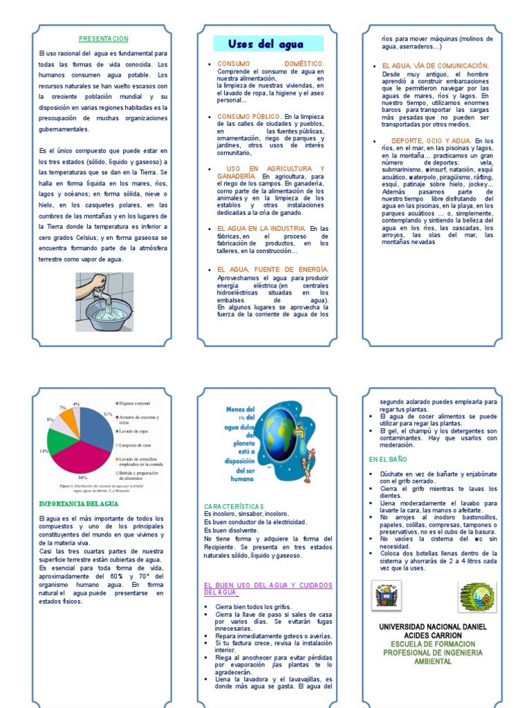 Tríptico sobre el Cuidado del Agua | PDF | Riego | Agua