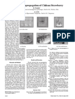 (23279834 - HortScience) Massive Micropropagation of Chilean Strawberry PDF
