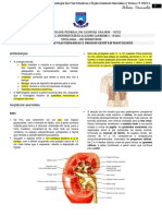 01 Semiologia Das Vias Urinárias e Órgãos Genitais Masculinos