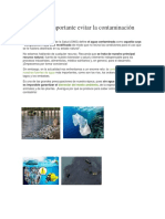 Por Qué Es Importante Evitar La Contaminación Del Agua