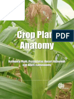 Crop Plant Anatomy This Page Intentional PDF