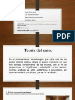 Teoria Del Caso