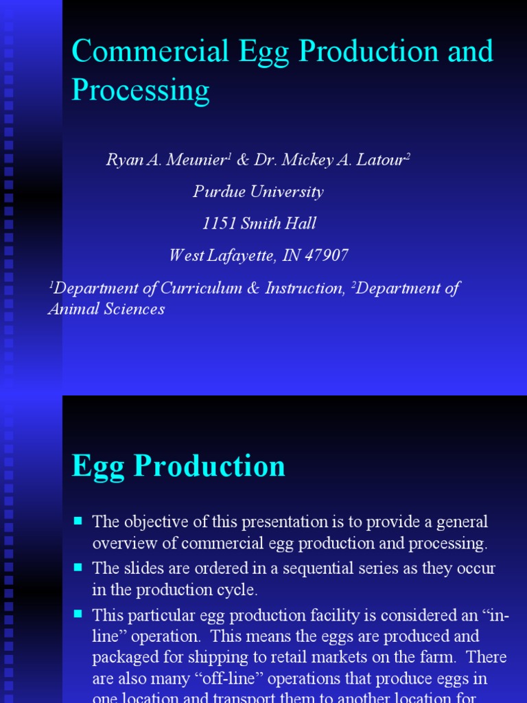 Commercial Egg Production and Processing