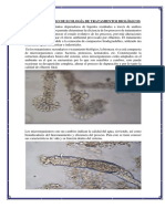  ECOLOGÍA DE TRATAMIENTOS BIOLÓGICOS