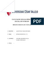 Informe 8 Sintesis de Proteinas