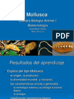 Mollusca ESPE
