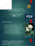 Solanaceae y Fabaceae - Calderón Josué - 4058