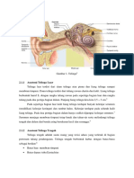 THT Anatomy 1