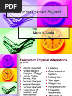 Download Postpartum by allonga SN44429761 doc pdf