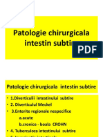 CHIRURGIE GENERALA Patologia   intestinului subtire si Boala Krohn.pptx