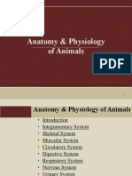 Anatomy Physiology of Animals - Slideshow PDF