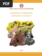 Uranyum Toryum PDF