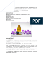 Manual Completo 1 PDF