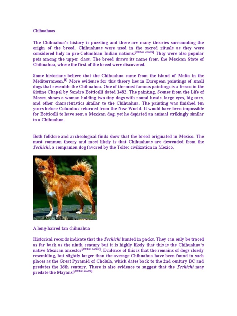 Chihuahuas: Techichi, A Companion Dog Favored by The Toltec ...