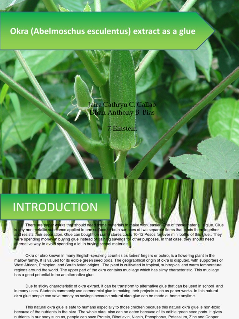 Okra Abelmoschus Esculentus Extract As A Glue PDF Crops Plants