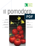 CeC POMODORO Estratto Web PDF